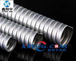 XY-0617镀锌金属软管